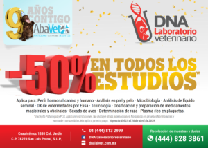 50% de descuento en DNA Laboratorio Veterinario