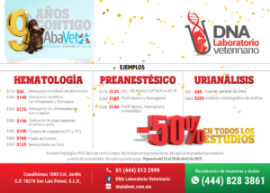 Ejemplos de descuentos en DNA Laboratorio Veterinario
