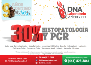 30% de descuento en Histopatología y PCR en DNA Laboratorio Veterinario