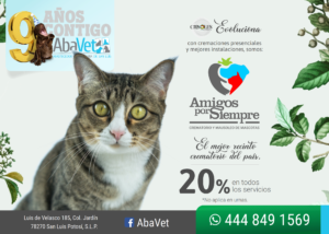 Crisoles evoluciona a Amigos por Siempre, con 20% en todos sus servicios