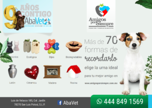 Crisoles evoluciona a Amigos por Siempre, con 20% en todos sus servicios
