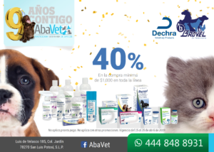 40% en la línea disponible de Dechra & Brovel