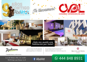 Ultimas habitaciones de lujo para el Congreso Veterinario de León Guanajuato